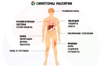 malyariya2