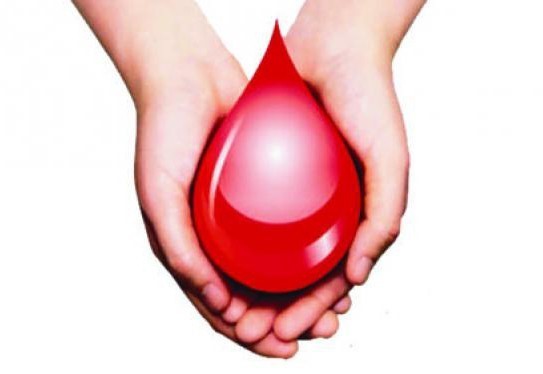 donor06062022